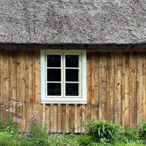 201438011_363554728445603_5916316542577573169_n